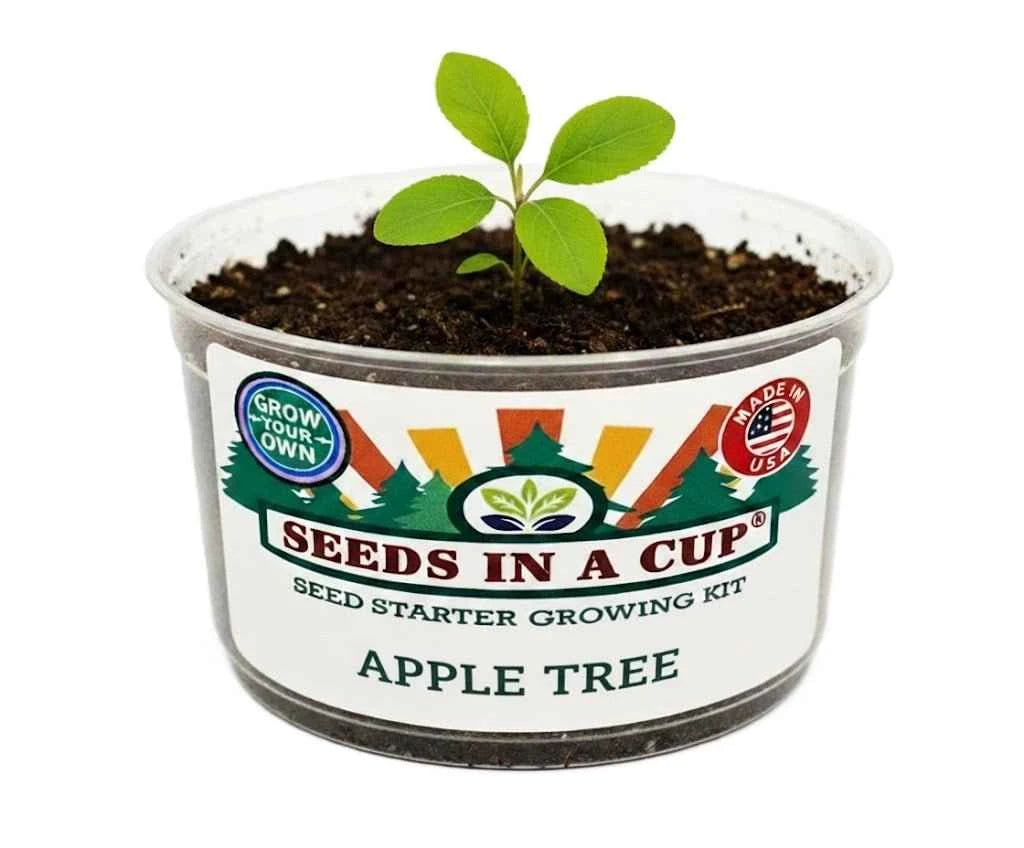 planting seeds from store bought fruit Apple Tree Grow Kit | Made in USA