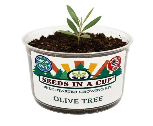 Tree Seed Starter KitSEEDS IN A CUPSeeds In A Cup®1