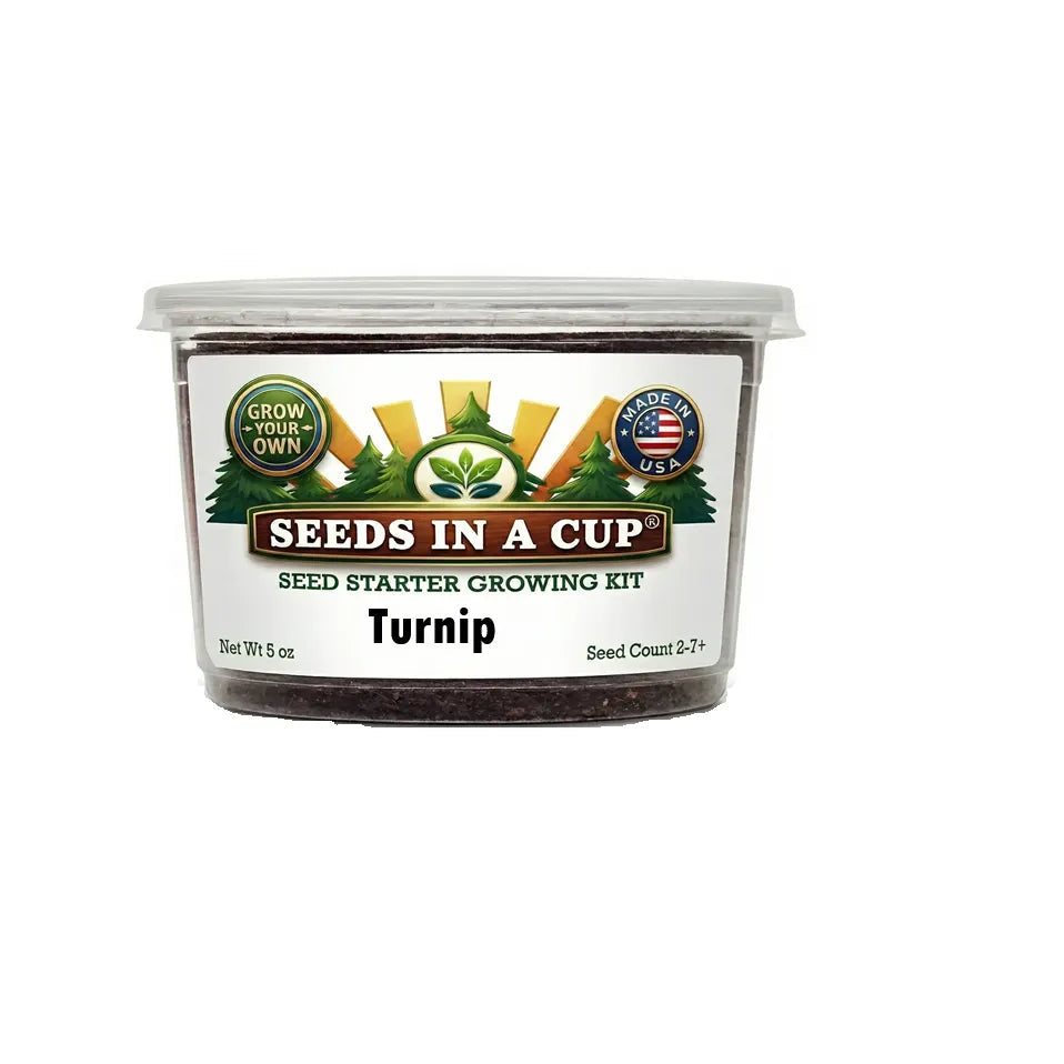 Turnip seeds in a cup packaging on a white background