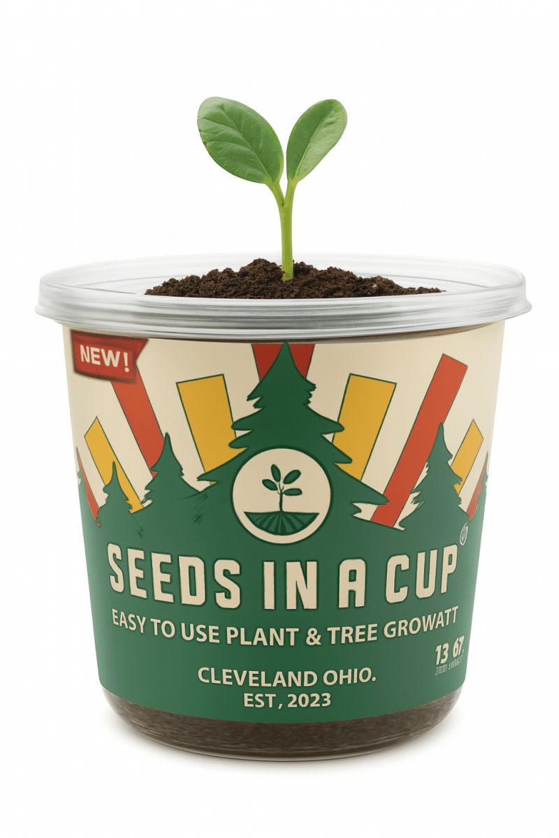 Plant Growing Kits for Vegetables and Herbs - Starter Seed Kits - Seeds In A Cup®