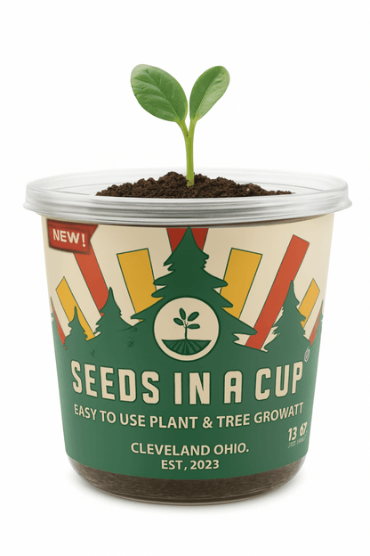 Cedar Tree | Seed Starter Grow Kit | Seeds In A Cup® Tree Seed Grow Kit Plant Grow Kit Tree Grow Kit Seed
