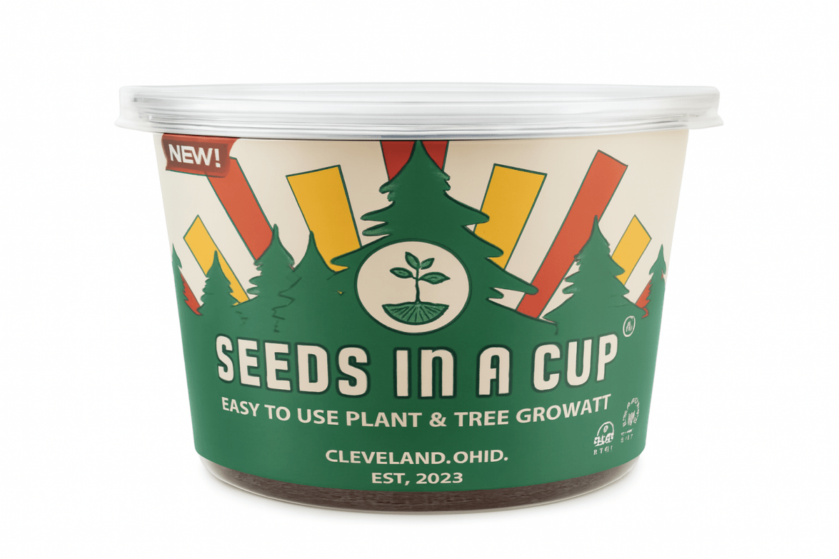 Cedar Tree | Seed Starter Grow Kit | Seeds In A Cup® Tree Seed Grow Kit Plant Grow Kit Tree Grow Kit Seed