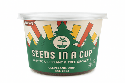 Cedar Tree | Seed Starter Grow Kit | Seeds In A Cup® Tree Seed Grow Kit Plant Grow Kit Tree Grow Kit Seed