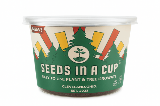 Cedar Tree | Seed Starter Grow Kit | Seeds In A Cup® Tree Seed Grow Kit Plant Grow Kit Tree Grow Kit Seed