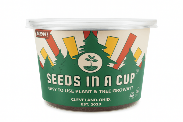 Cedar Tree | Seed Starter Grow Kit | Seeds In A Cup® Tree Seed Grow Kit Plant Grow Kit Tree Grow Kit Seed