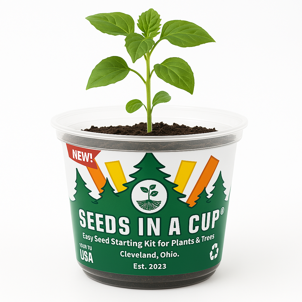 American Holly | Tree Seed Starter Grow Kit | Seeds In A Cup®